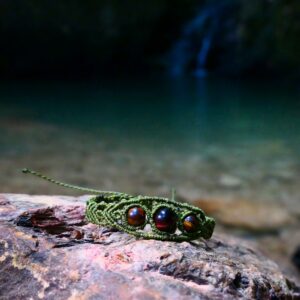 Langkawi Jungle
